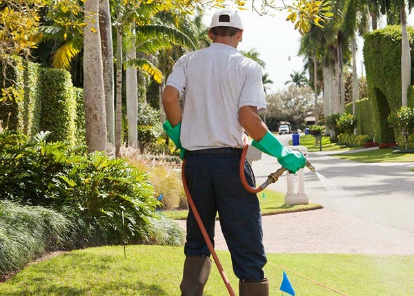 About Nachusa IL Pest Control